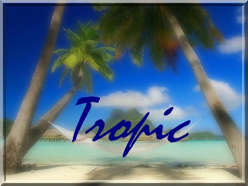 créer un forum : Tropic Fofo614