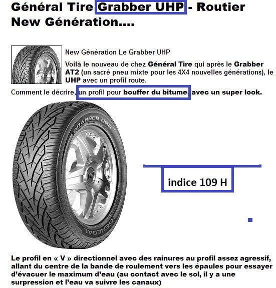 Remplacement des pneus en 255/65/16 michelin ou pirelli Genera11