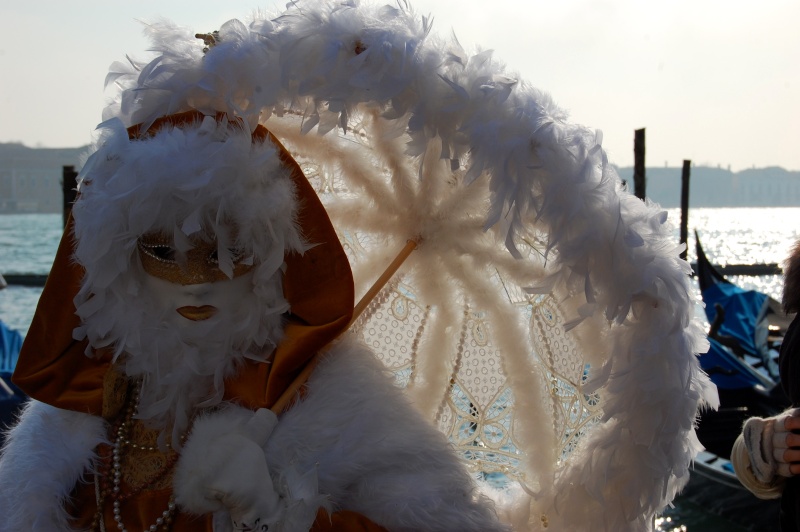 Carnevale a Venezia Dsc_2511