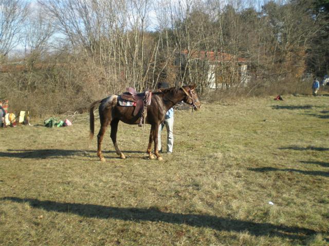 27.12.2008.-Pazin Pc270027