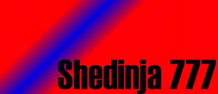 Shedinja 777's shop Shedin10