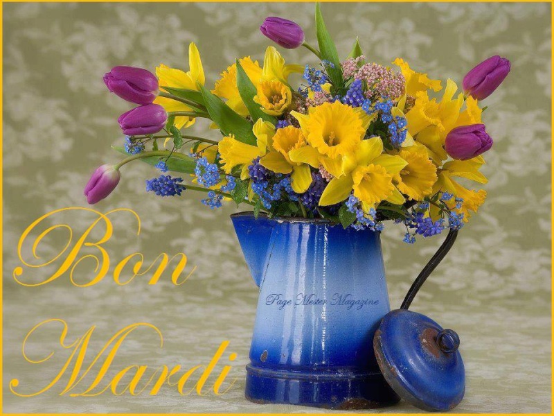 BIENVENUE CHEZ NOUS - Page 3 10161010