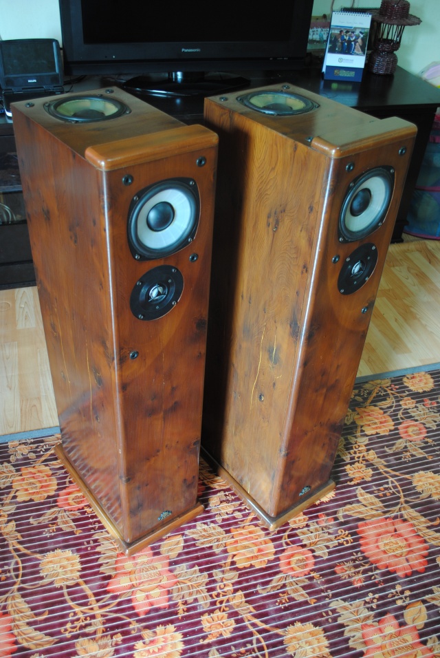 Castle Harlech speakers (used)(SOLD) Dsc_1812