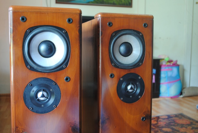 Castle Harlech speakers (used)(SOLD) Dsc_1813