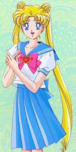 Usagi Tsukino / Sailor Moon Bunny_11