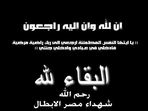 شهداء ثورة 25 يناير ( الورد اللى فتح فى جناين مصر ) Nfj17810