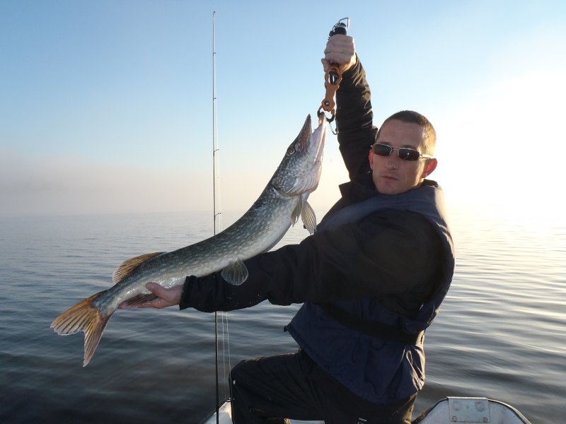 Séjour de pêche en Suède: P9050012