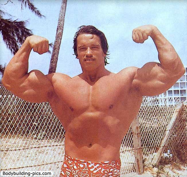 Arnold Schwarzenegger - Page 3 36611_10