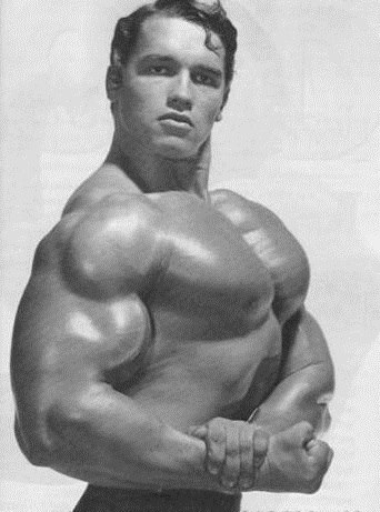 Arnold Schwarzenegger - Page 3 45591_10