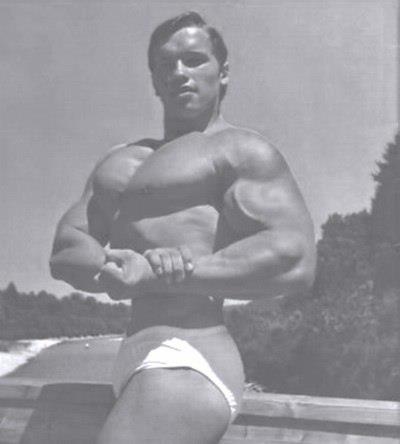 Arnold Schwarzenegger - Page 3 54594310