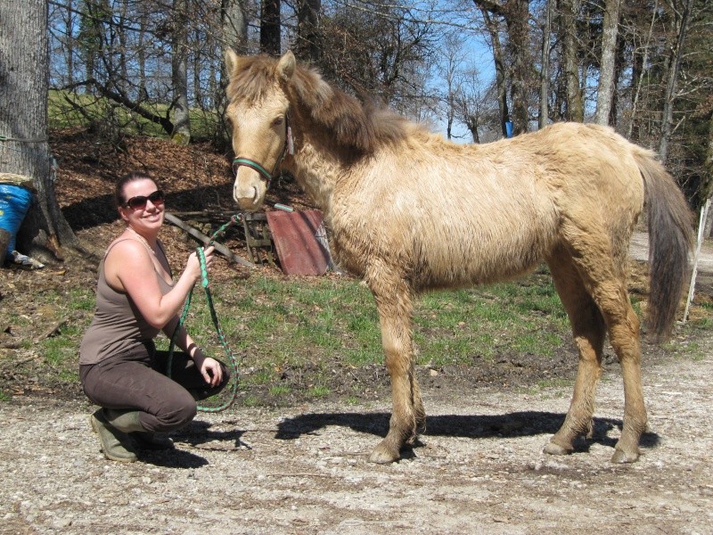 Les Chevaux D'Odun. - Page 16 Img_6210