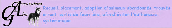 Inscription Association du mois Zooplus Bannie10