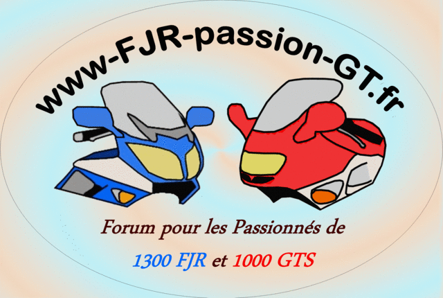 www.FJR-passion-GTS.fr Essai_10