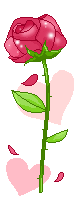 Consecration au Coeur de Marie Rose_p10