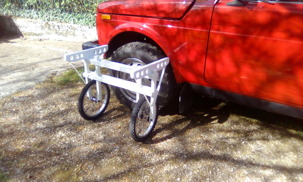 Vélo chariot Img_2042