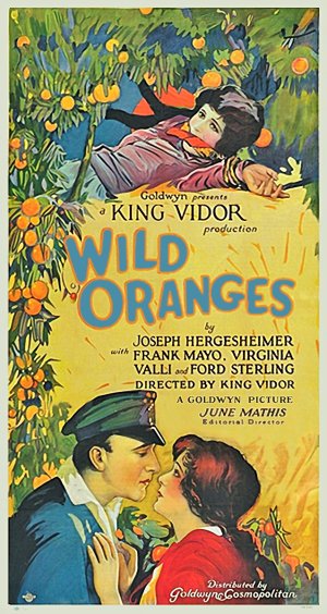 Wild Oranges (1924) Wild2b10