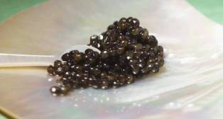 LA CUISINE RUSSE Caviar10