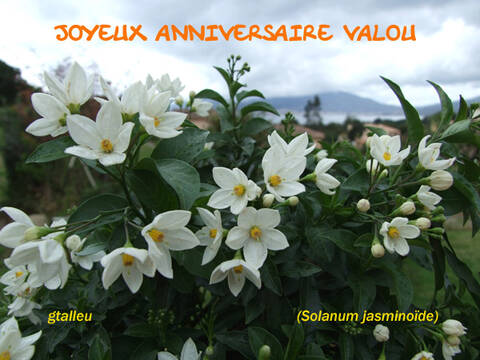 Joyeux Anniversaire Valou Page 2 Joyeux Anniversaire Valou Page 2