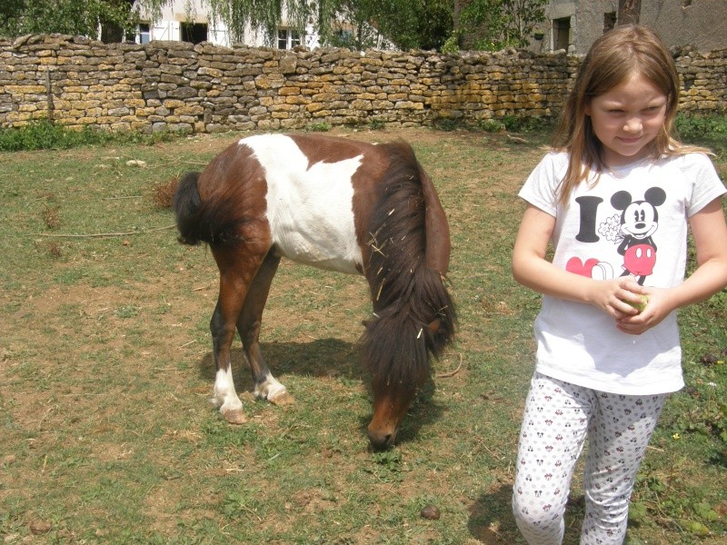 POLLY - ONC Poney Shetland née en 2004 - adoptée en mars 2013 par Moutarde - Page 2 Summer10