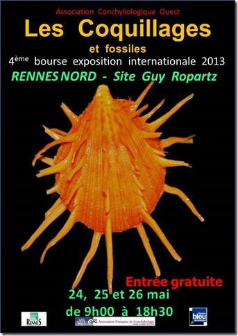 2013 Bourse de Rennes - 24 au 26 mai Cid_d110