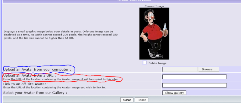 Question 14, how to get an avatar on your profile Avatar13