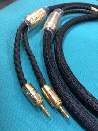 Telos Gold Reference Speaker Cable 2.5m Img_9511