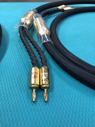 Telos Gold Reference Speaker Cable 2.5m Img_9513