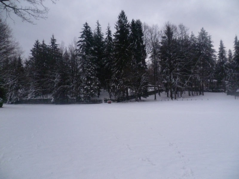 Neve sulle Pizzorne 30 - 01 - 2011 .  P1030112