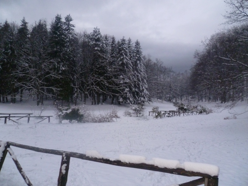 Neve sulle Pizzorne 30 - 01 - 2011 .  P1030113
