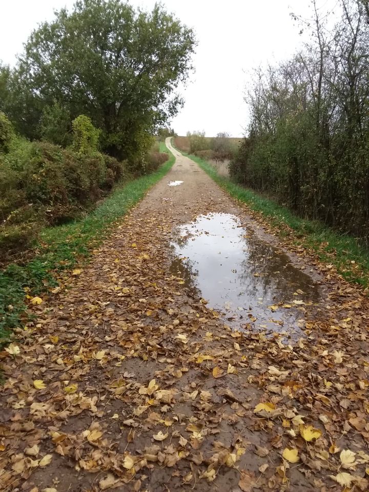 Mes sorties à vtt... - Page 22 140