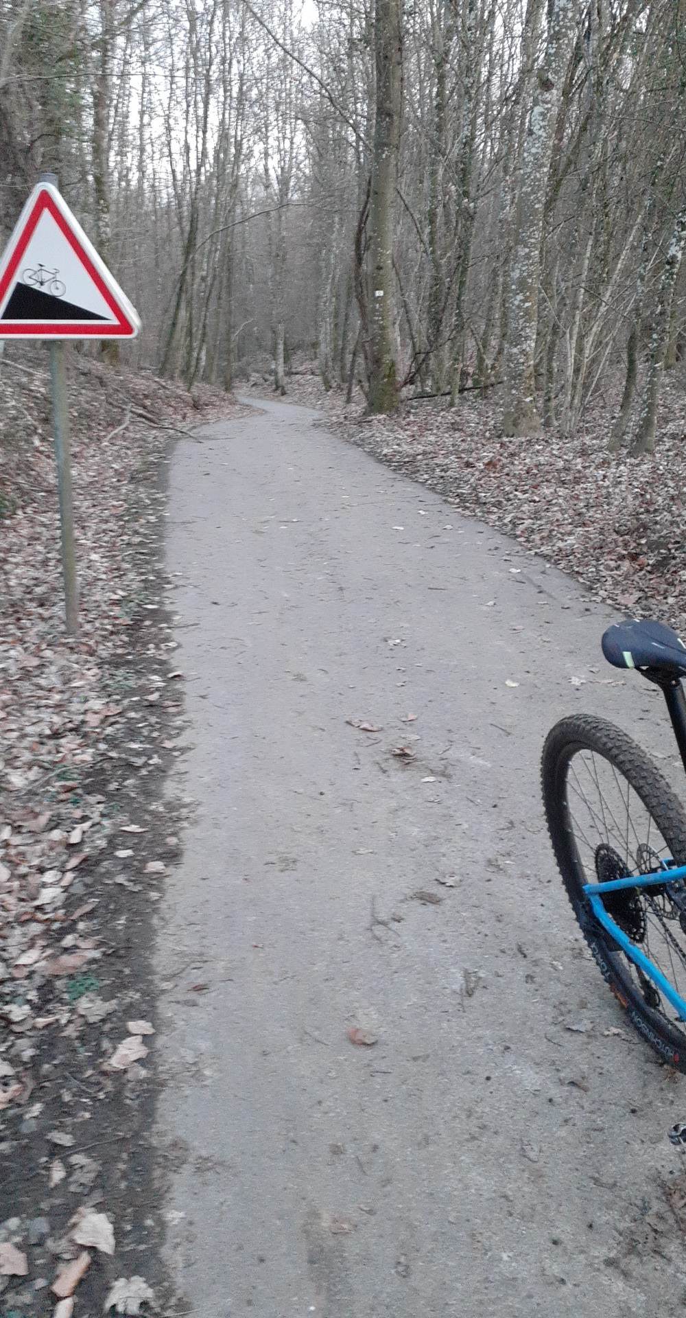 Mes sorties à vtt... - Page 42 32818710