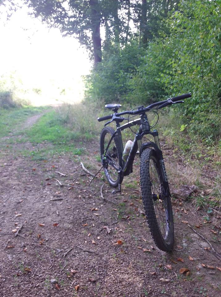 Mes sorties à vtt... - Page 27 41466010