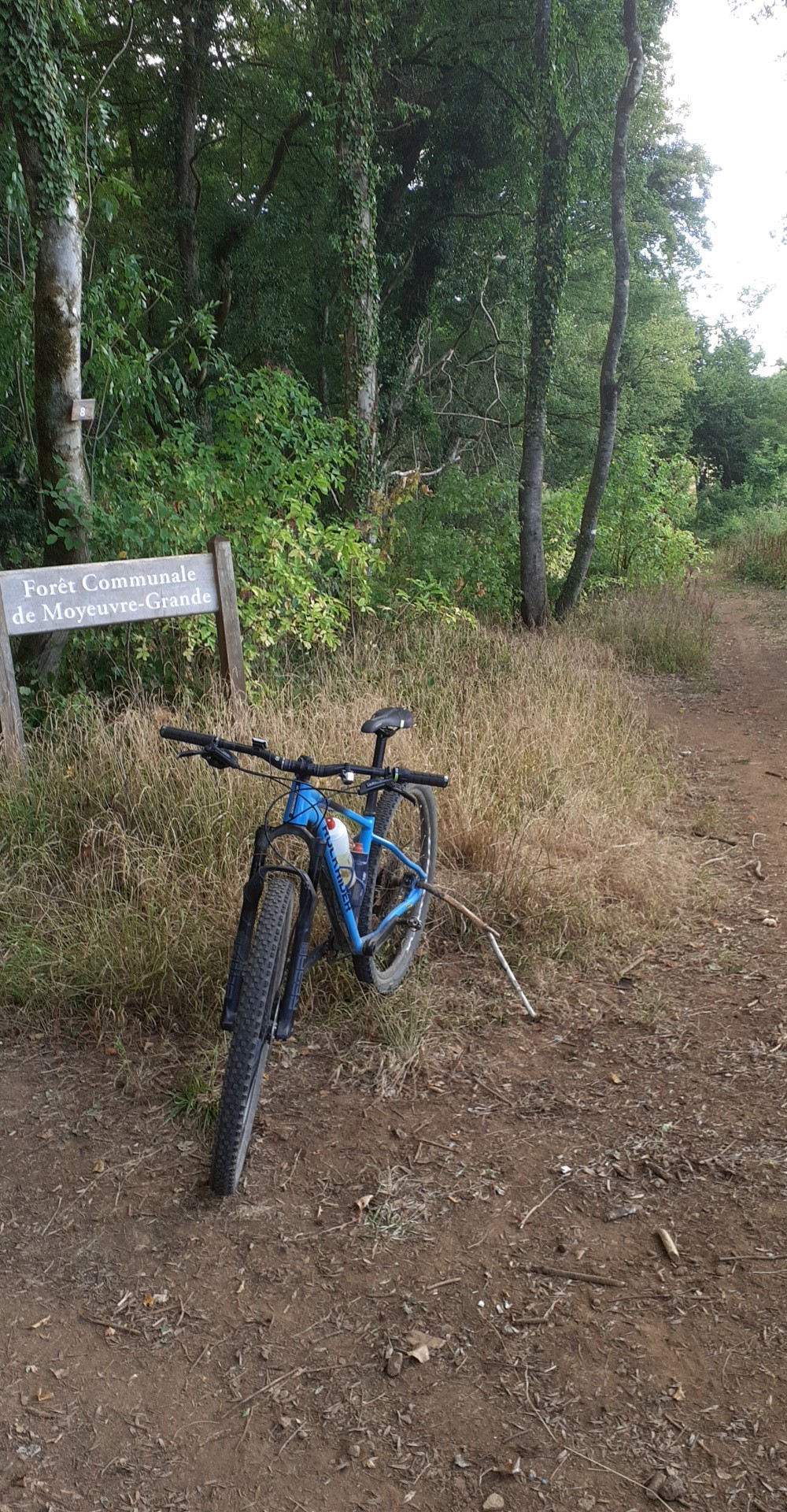 Mes sorties à vtt... - Page 41 4154