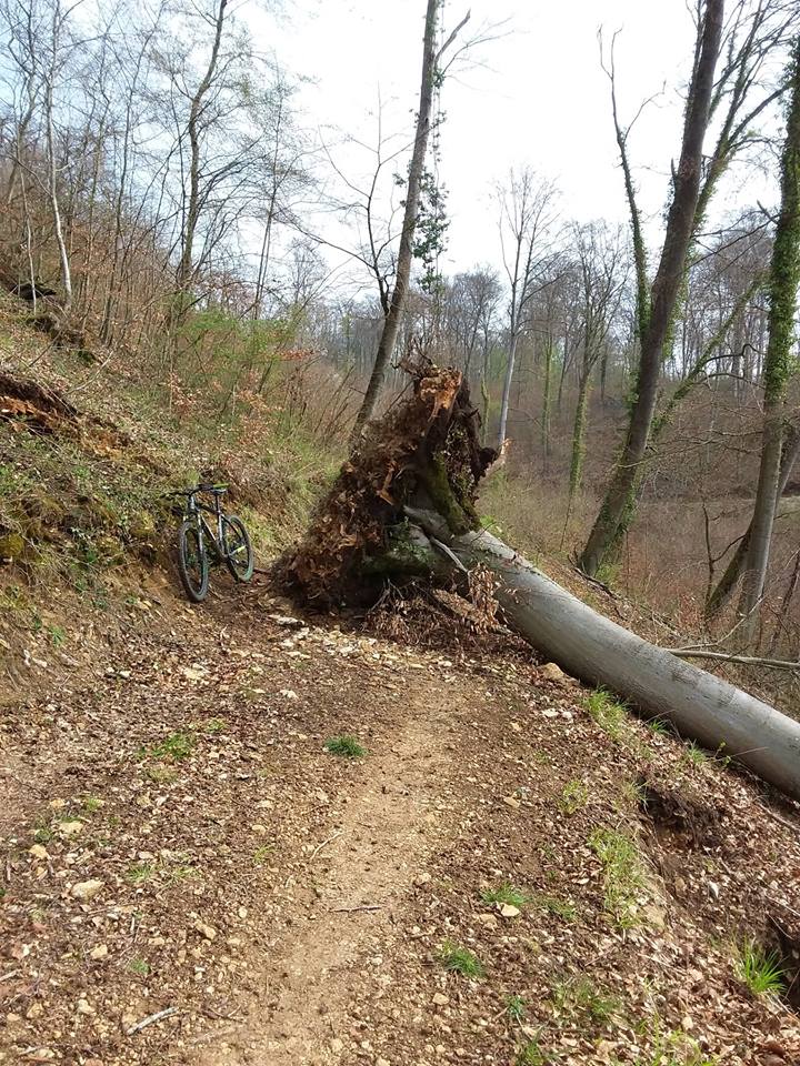 Mes sorties à vtt... - Page 35 57056110