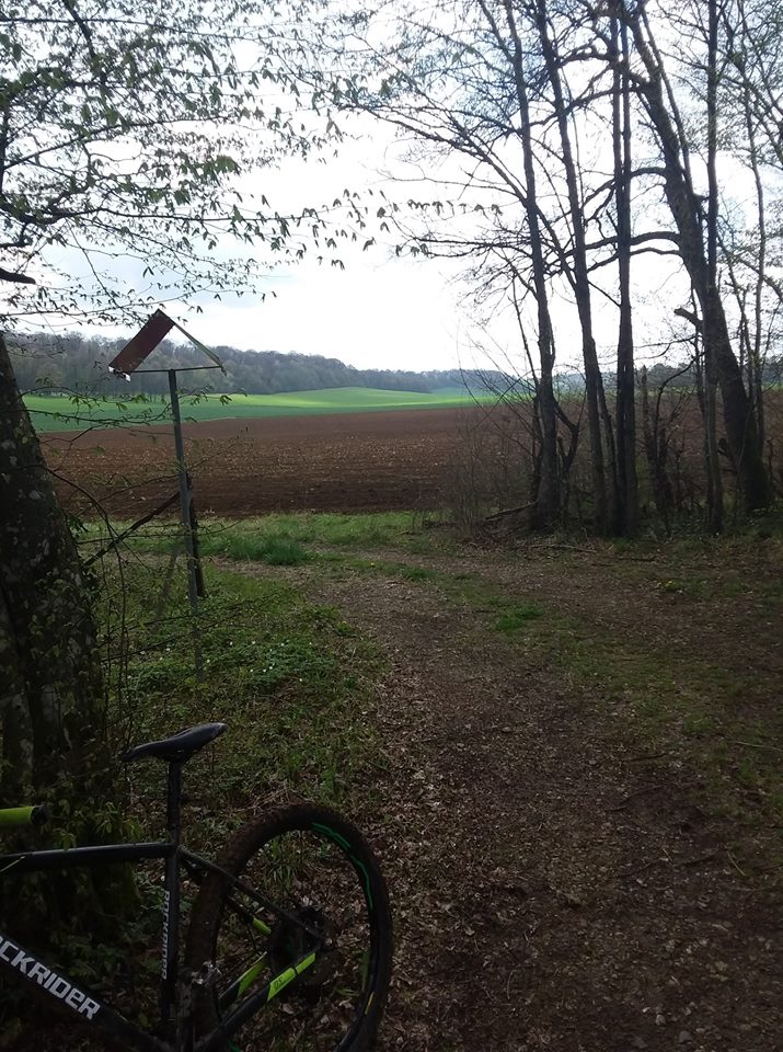 Mes sorties à vtt... - Page 35 57325210