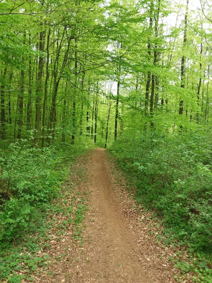 Mes sorties à vtt... - Page 36 57750910