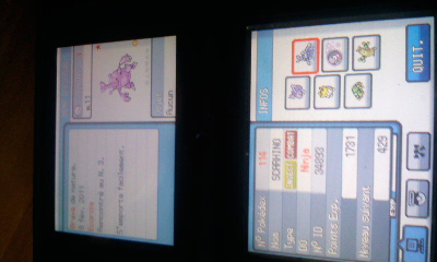 [Tour de Johto-Kanto] Rapports et Classements - Page 2 Photo021