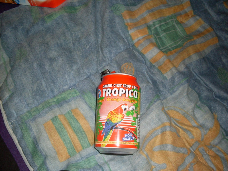 Tropico Sdc11217