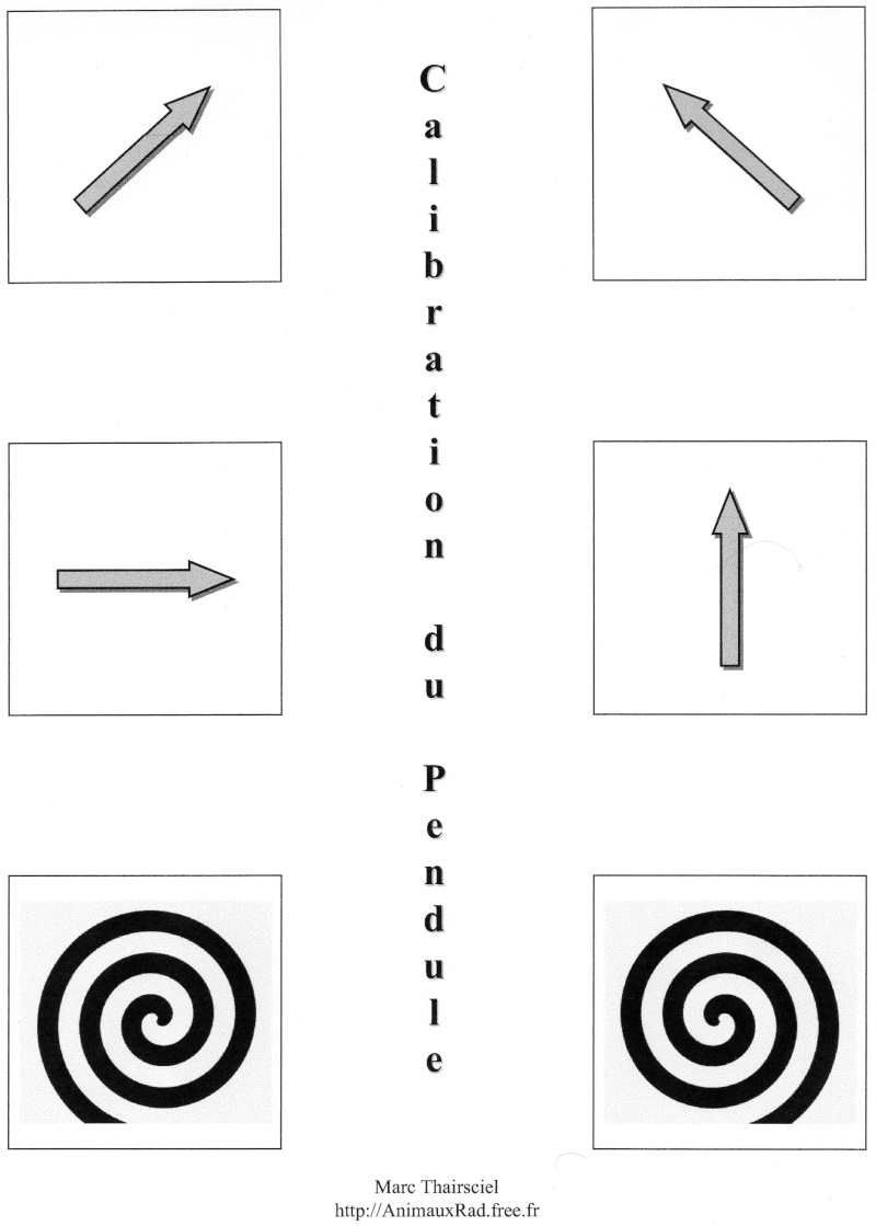 AVEC - Vos expériences et vos pratiques avec le pendule Img03510