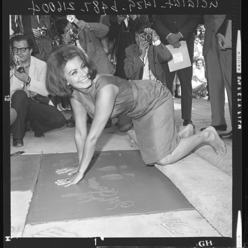 Sophia Loren is 75! - Page 4 Tumbl869