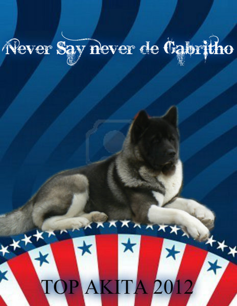 Never say never de gabritho :  KENAVO - Page 3 Pizap_10