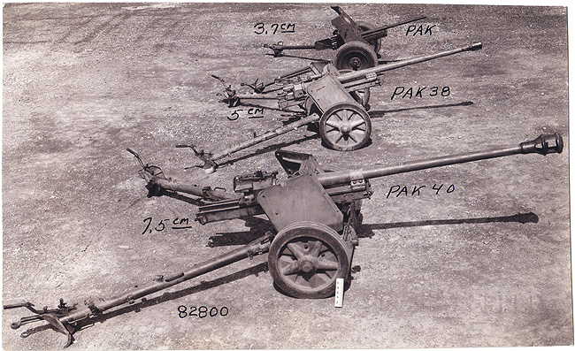 Panzerjaegerabteilung-Détachement des chasseurs de char Esk03w10