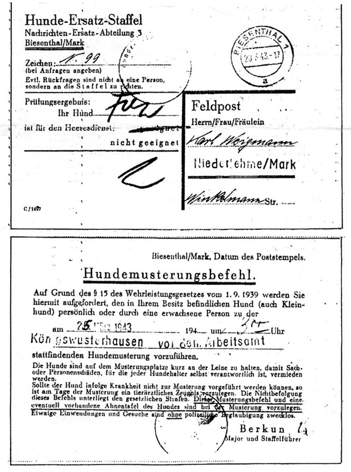 Plaque d'identité pour chiens de la Wehrmacht Hundem11