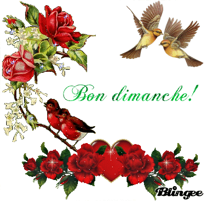 Heureux le pauvre de coeur : à lui, le Royaume des cieux ! D00ceb10