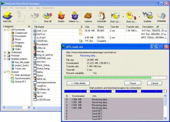 Internet Download Manager v6.05 Build 1 Idm10