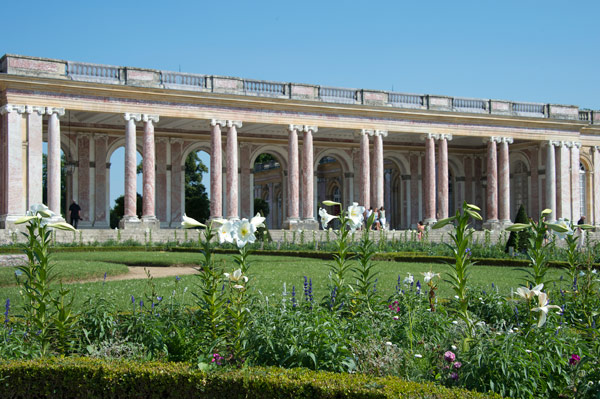 FLEURS DU ROI au Grand Trianon 1_1_1178