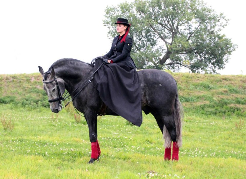 How to ride a Dragon in Side Saddle ...  E11