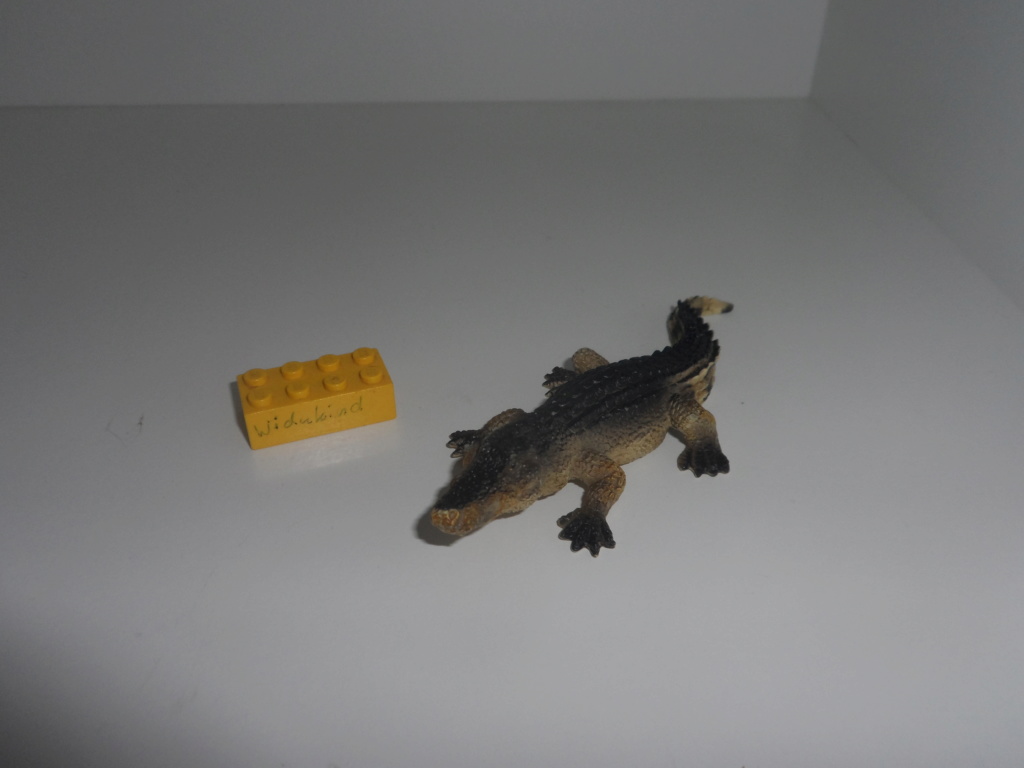 4 - Pictures for Toy Animal Wiki - Page 3 Sam_5123