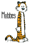 Calvin & Hobbes von Bill Watterson Chhobb10