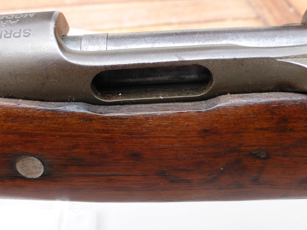 Springfield model 1903 Collec26